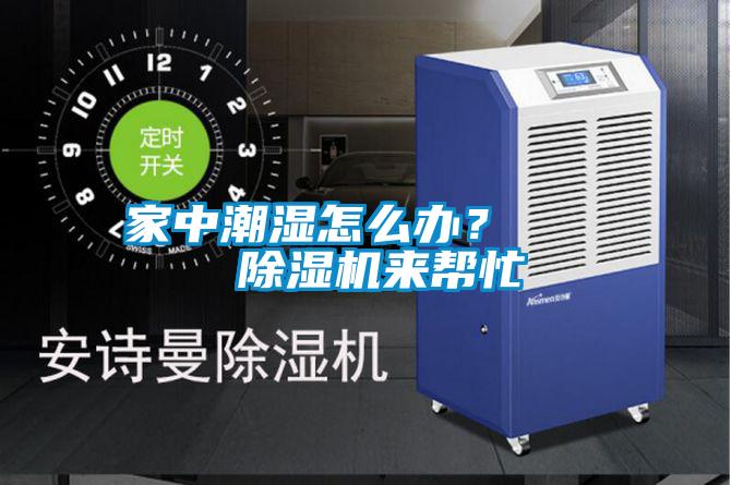 家中潮湿怎么办?    除湿机来帮忙