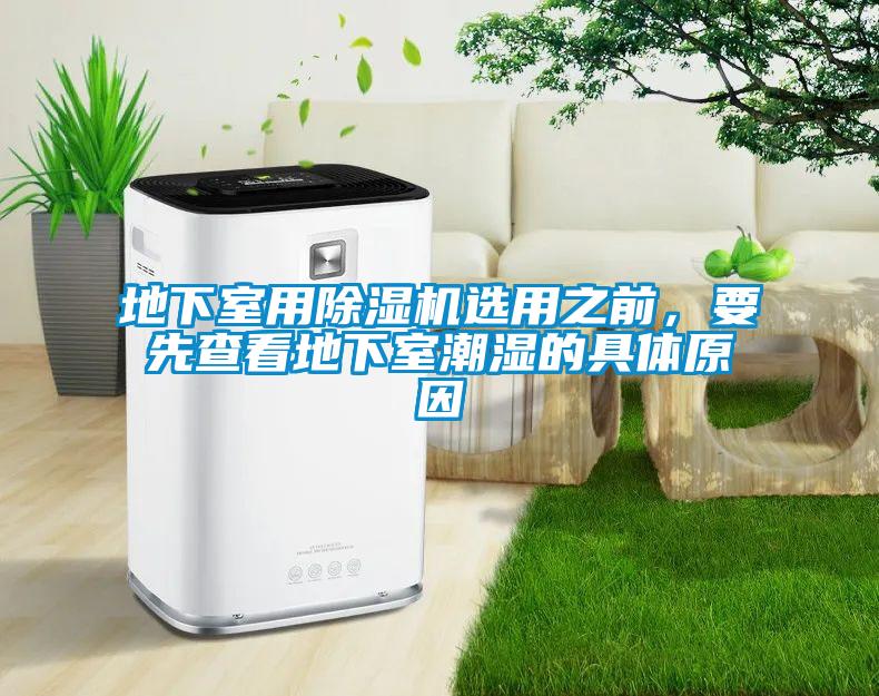 地下室用除湿机选用之前，要先查看地下室潮湿的具体原因