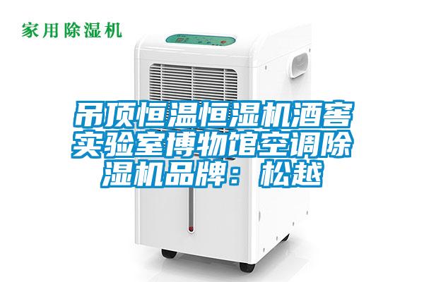 吊顶恒温恒湿机酒窖实验室博物馆空调除湿机品牌：松越
