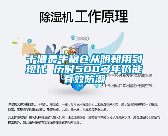 十堰最牛粮仓从明朝用到现代 历时500多年仍能有效防潮