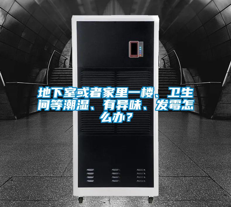 地下室或者家里一楼、卫生间等潮湿、有异味、发霉怎么办？