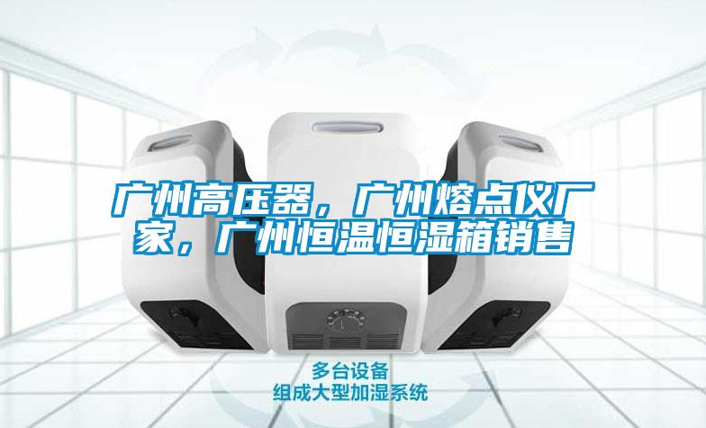 广州高压器，广州熔点仪厂家，广州恒温恒湿箱销售