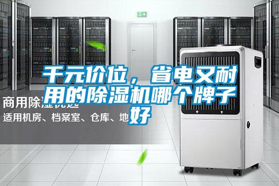 千元价位，省电又耐用的除湿机哪个牌子好