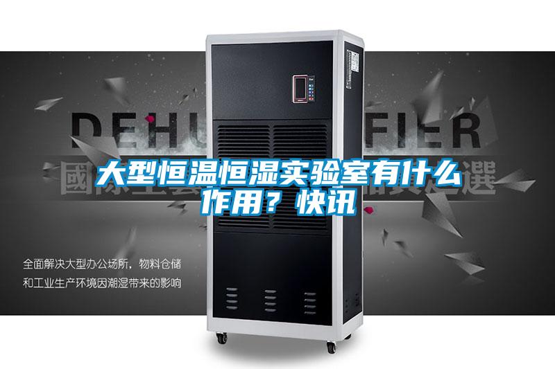 大型恒温恒湿实验室有什么作用?快讯