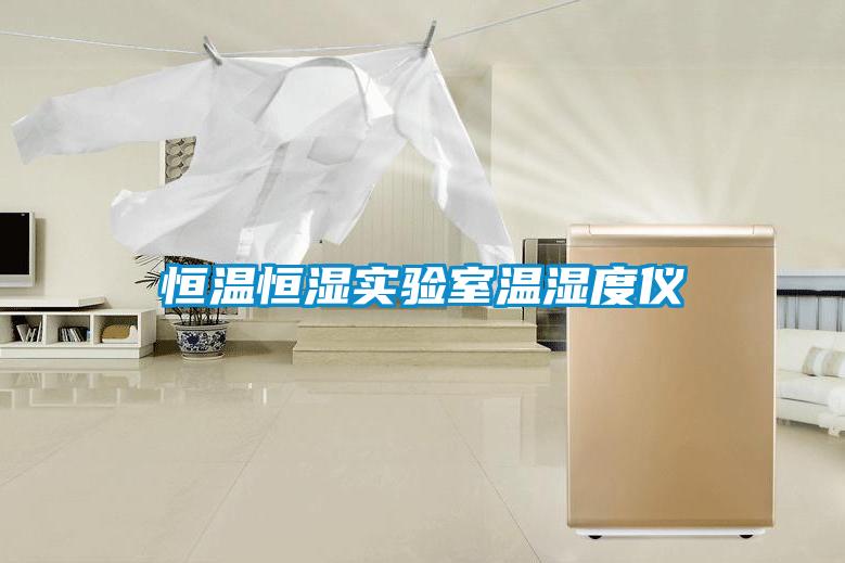 恒温恒湿实验室温湿度仪