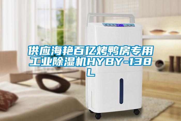 供应海艳百亿烤鸭房专用工业除湿机HYBY-138L