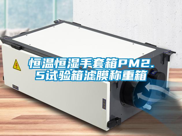 恒温恒湿手套箱PM2.5试验箱滤膜称重箱