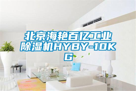 北京海艳百亿工业除湿机HYBY-10KG