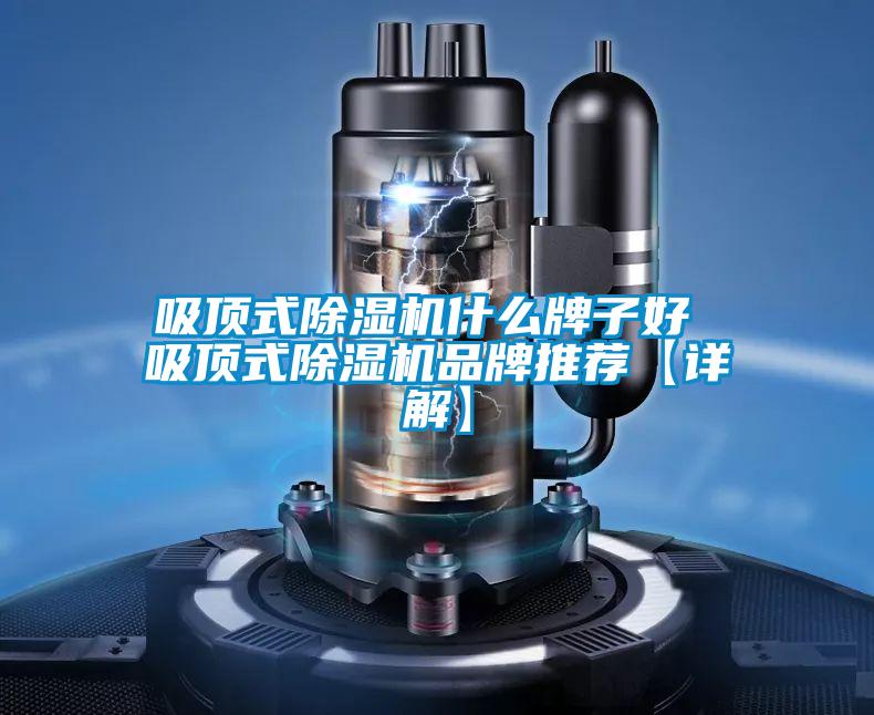 吸顶式除湿机什么牌子好 吸顶式除湿机品牌推荐【详解】