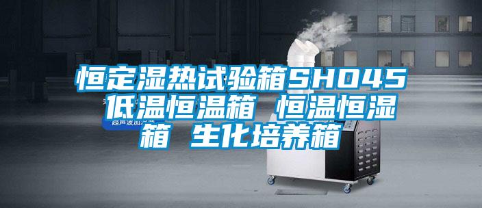 恒定湿热试验箱SHO45 低温恒温箱 恒温恒湿箱 生化培养箱