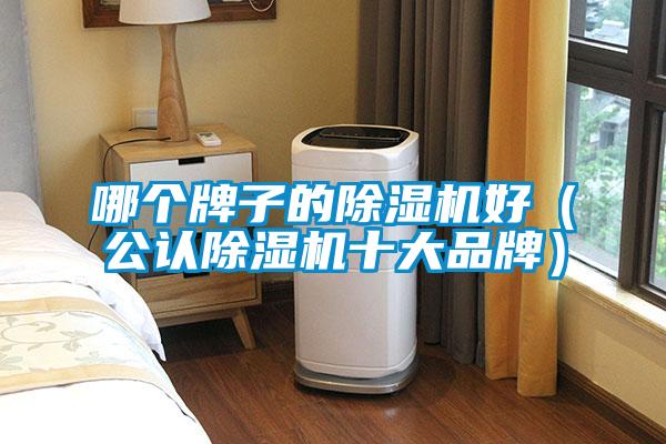 哪个牌子的除湿机好(公认除湿机十大品牌)