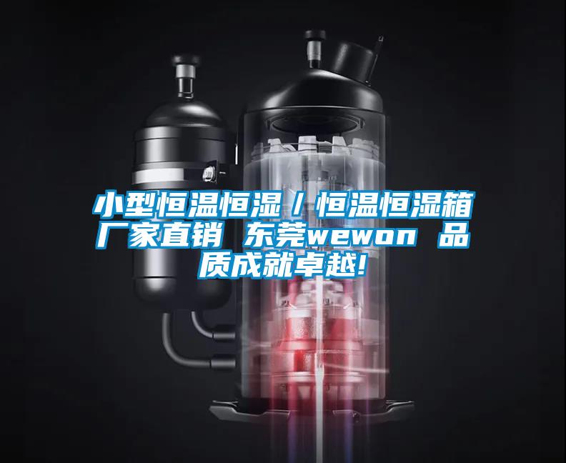 小型恒温恒湿／恒温恒湿箱厂家直销 东莞wewon 品质成就卓越!