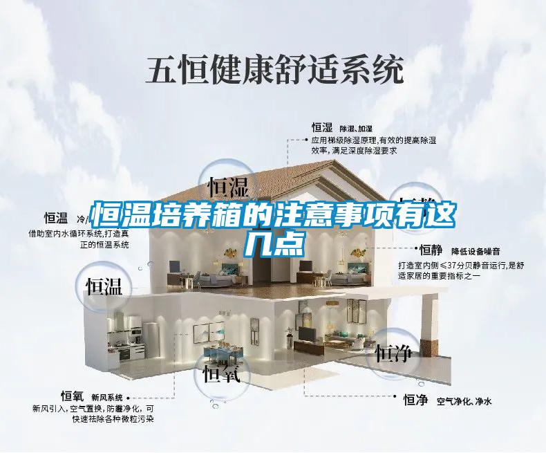 恒温培养箱的注意事项有这几点