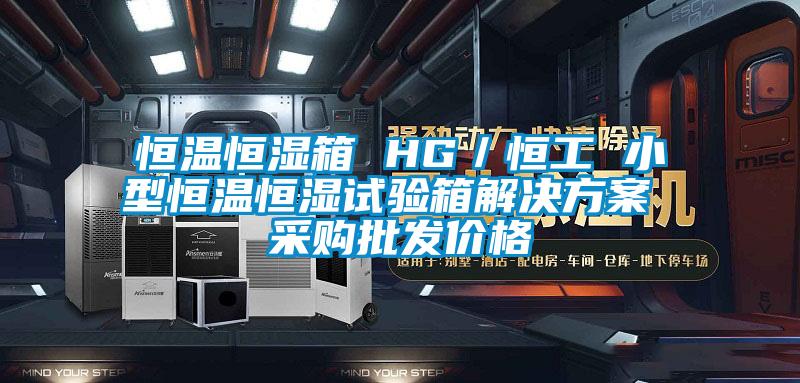 恒温恒湿箱 HG／恒工 小型恒温恒湿试验箱解决方案 采购批发价格