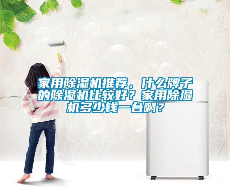 家用除湿机推荐，什么牌子的除湿机比较好？家用除湿机多少钱一台啊？