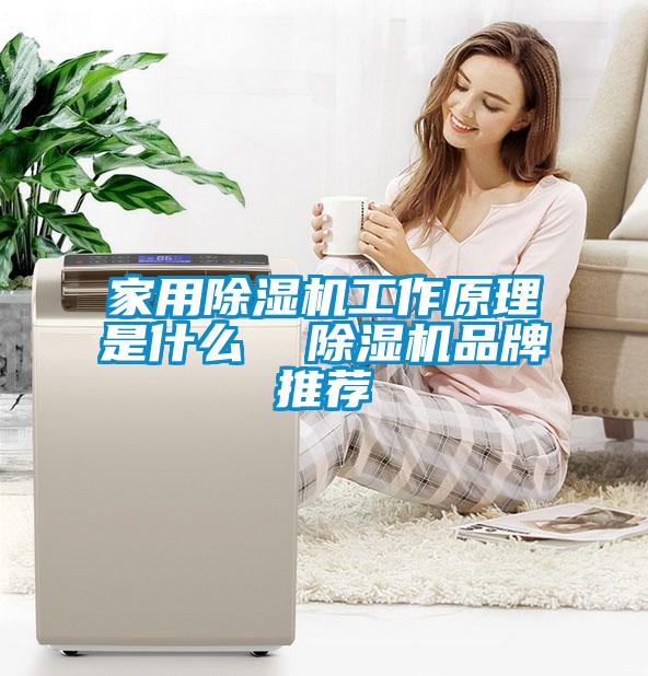 家用除湿机工作原理是什么  除湿机品牌推荐