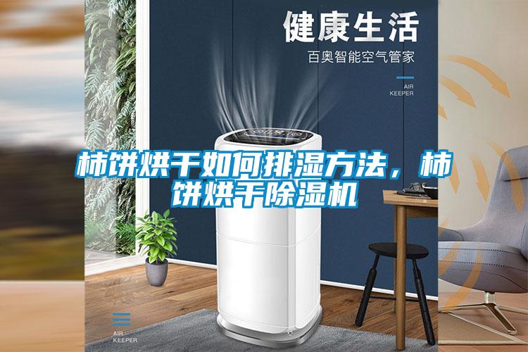 柿饼烘干如何排湿方法，柿饼烘干除湿机