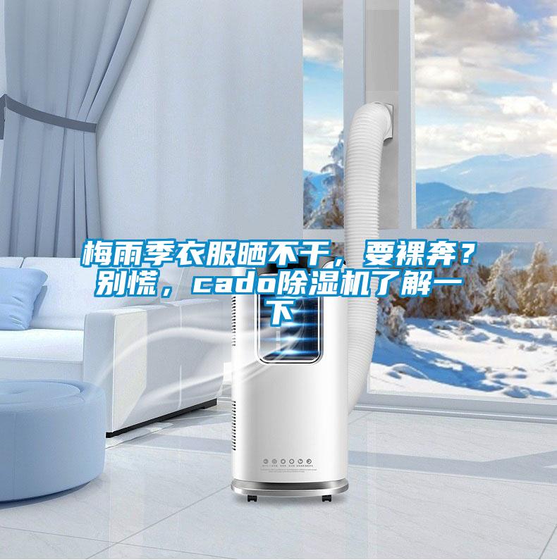 梅雨季衣服晒不干，要裸奔？别慌，cado除湿机了解一下