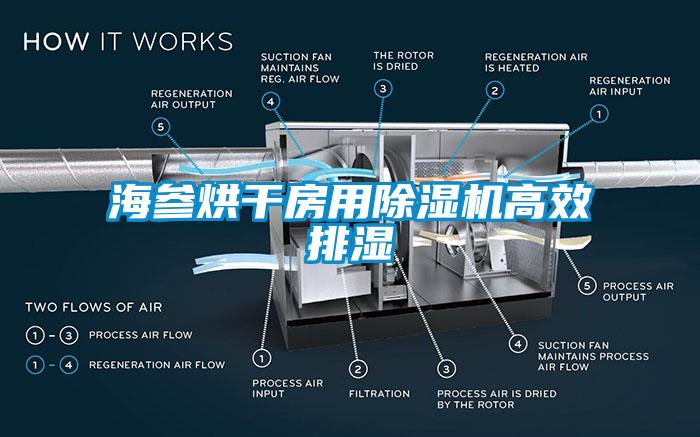 海参烘干房用除湿机高效排湿