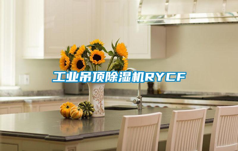 工业吊顶除湿机RYCF