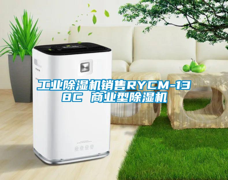 工业除湿机销售RYCM-138C 商业型除湿机