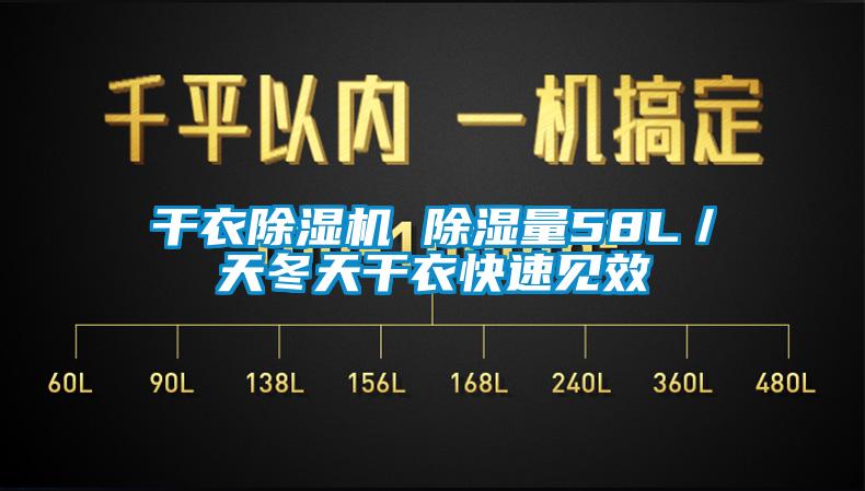 干衣除湿机 除湿量58L／天冬天干衣快速见效