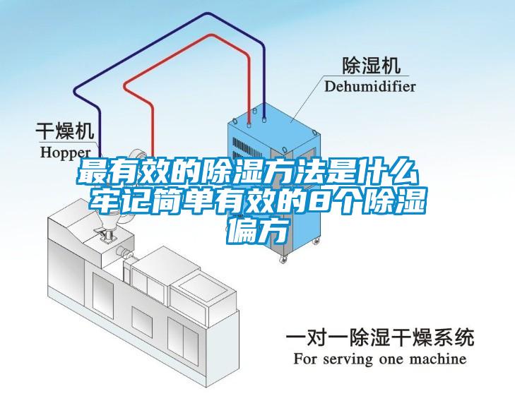 最有效的除湿方法是什么 牢记简单有效的8个除湿偏方