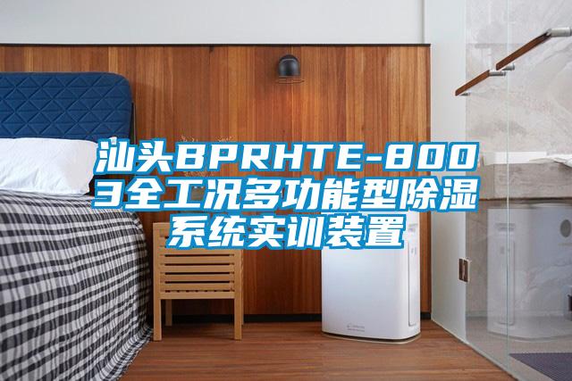 汕头BPRHTE-8003全工况多功能型除湿系统实训装置