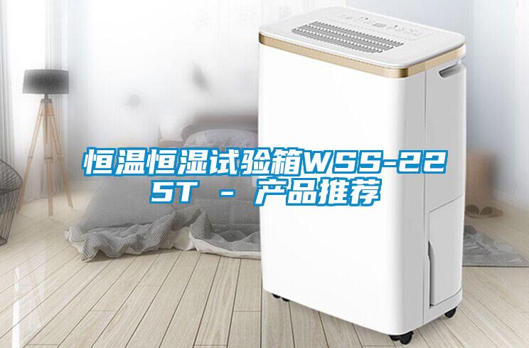 恒温恒湿试验箱WSS-225T - 产品推荐