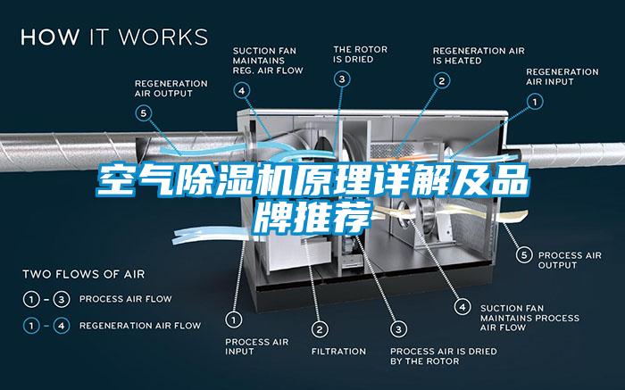 空气除湿机原理详解及品牌推荐