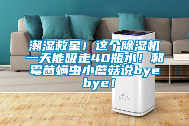 潮湿救星!这个除湿机一天能吸走40瓶水!和霉菌螨虫小蘑菇说bye bye!