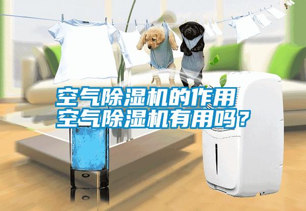 空气除湿机的作用 空气除湿机有用吗？