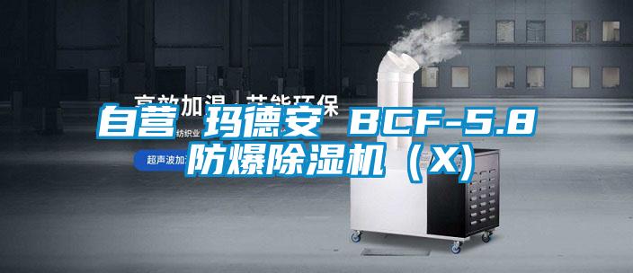 自营 玛德安 BCF-5.8 防爆除湿机（X)