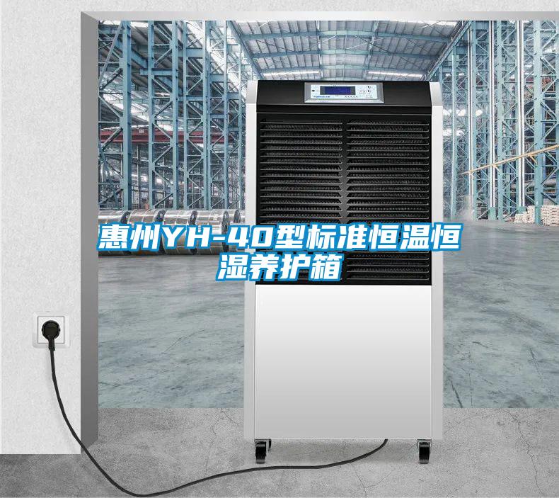 惠州YH-40型标准恒温恒湿养护箱