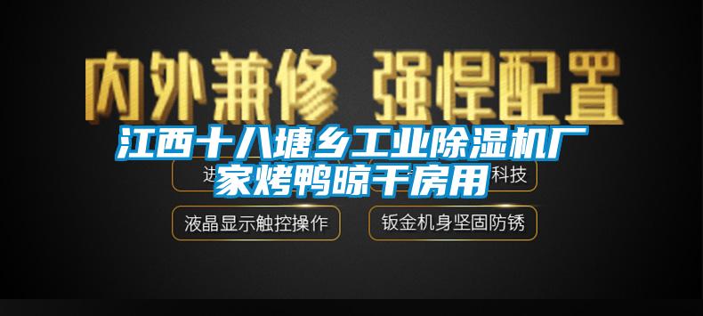 江西十八塘乡工业除湿机厂家烤鸭晾干房用