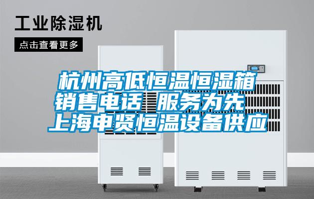 杭州高低恒温恒湿箱销售电话 服务为先 上海申贤恒温设备供应