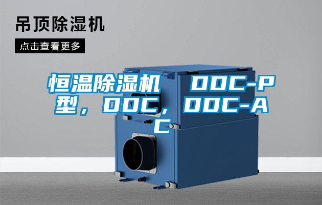 恒温除湿机  DDC-P型，DDC，DDC-AC