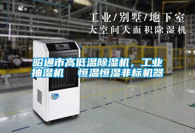 昭通市高低温除湿机,工业抽湿机  恒温恒湿非标机器