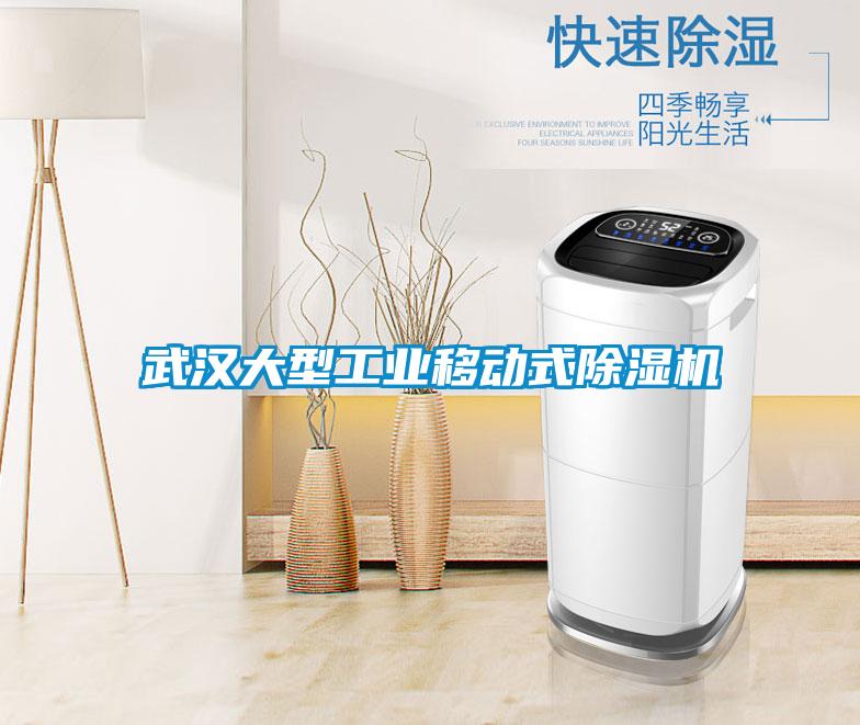 武汉大型工业移动式除湿机
