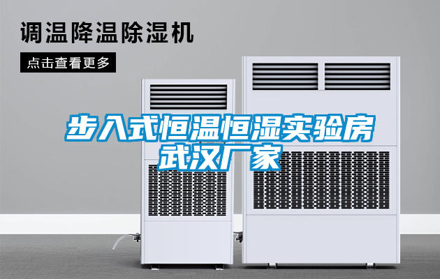步入式恒温恒湿实验房武汉厂家