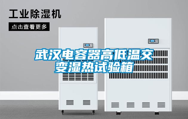 武汉电容器高低温交变湿热试验箱