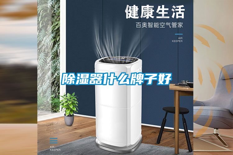 除湿器什么牌子好