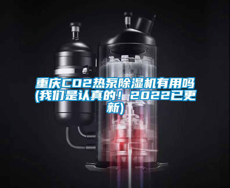 重庆CO2热泵除湿机有用吗(我们是认真的！2022已更新)