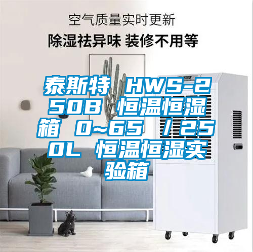 泰斯特 HWS-250B 恒温恒湿箱 0~65℃／250L 恒温恒湿实验箱
