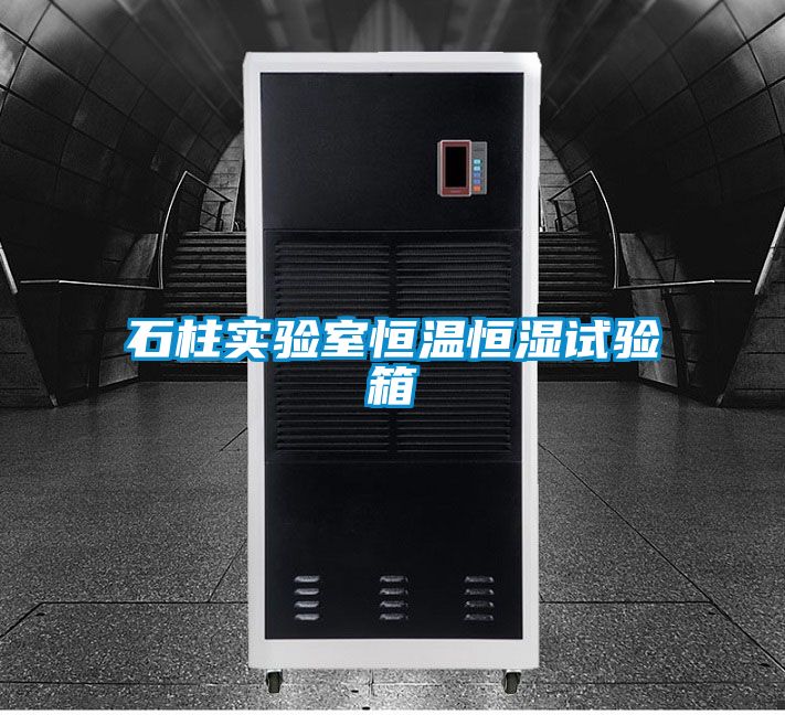 石柱实验室恒温恒湿试验箱