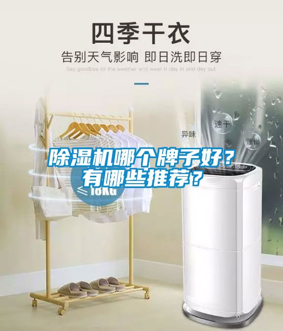 除湿机哪个牌子好？有哪些推荐？
