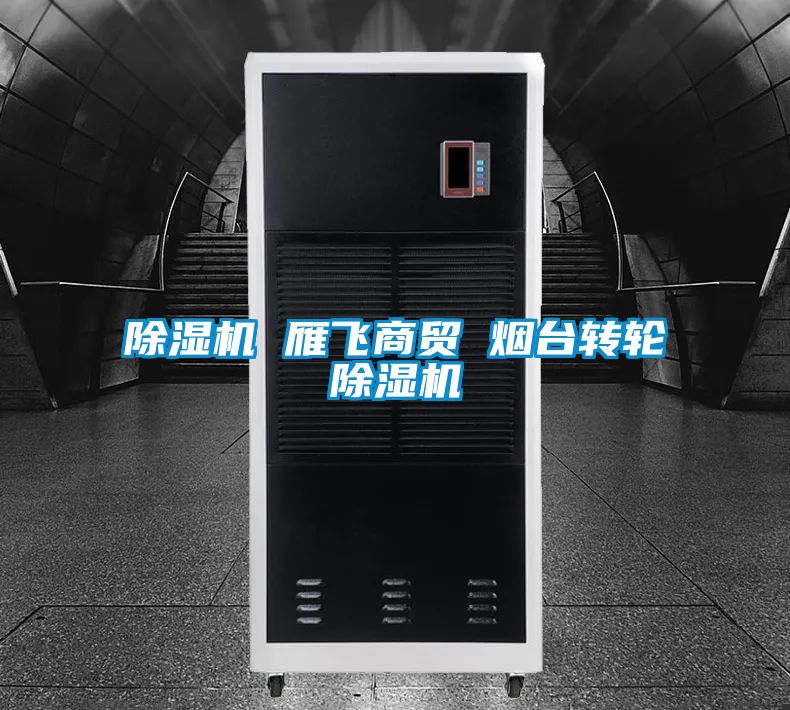 除湿机 雁飞商贸 烟台转轮除湿机
