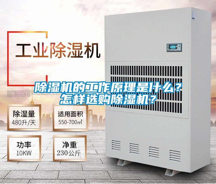除湿机的工作原理是什么？怎样选购除湿机？