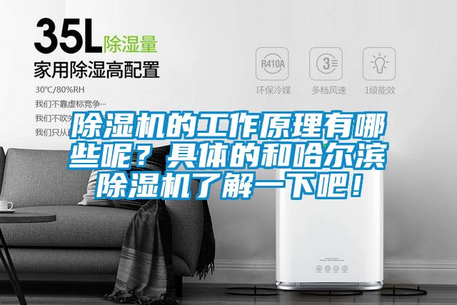 除湿机的工作原理有哪些呢？具体的和哈尔滨除湿机了解一下吧！