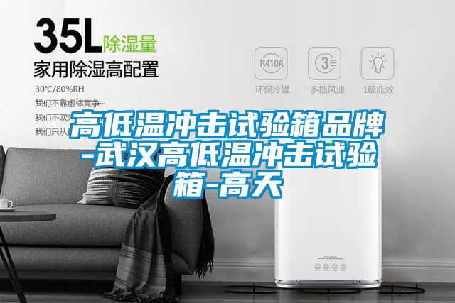 高低温冲击试验箱品牌-武汉高低温冲击试验箱-高天